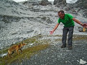 03 La volpe del Quinto Alpini